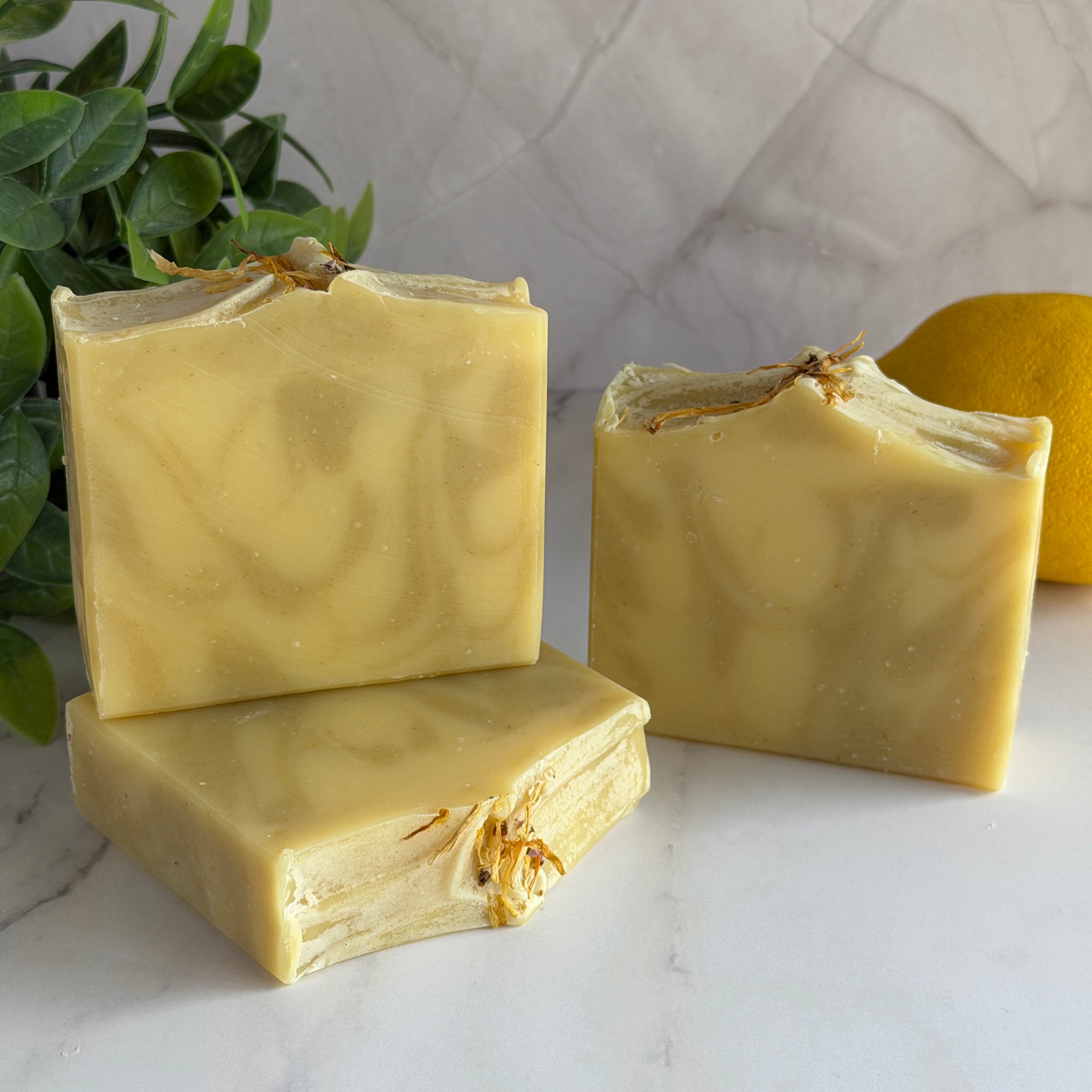 AZARE NaturalNow SOAP3点 Soap Bar - Nature Cosmetics Ember